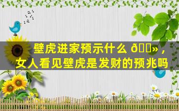 壁虎进家预示什么 🌻 ,女人看见壁虎是发财的预兆吗